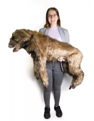 "Rocky" canine positioning manikin