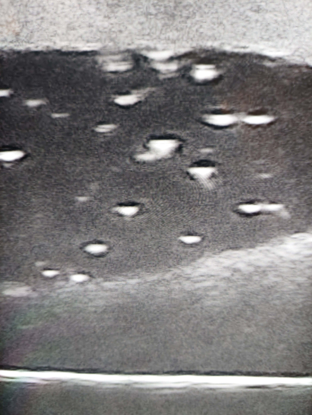 Canine Bladder Ultrasound simulator