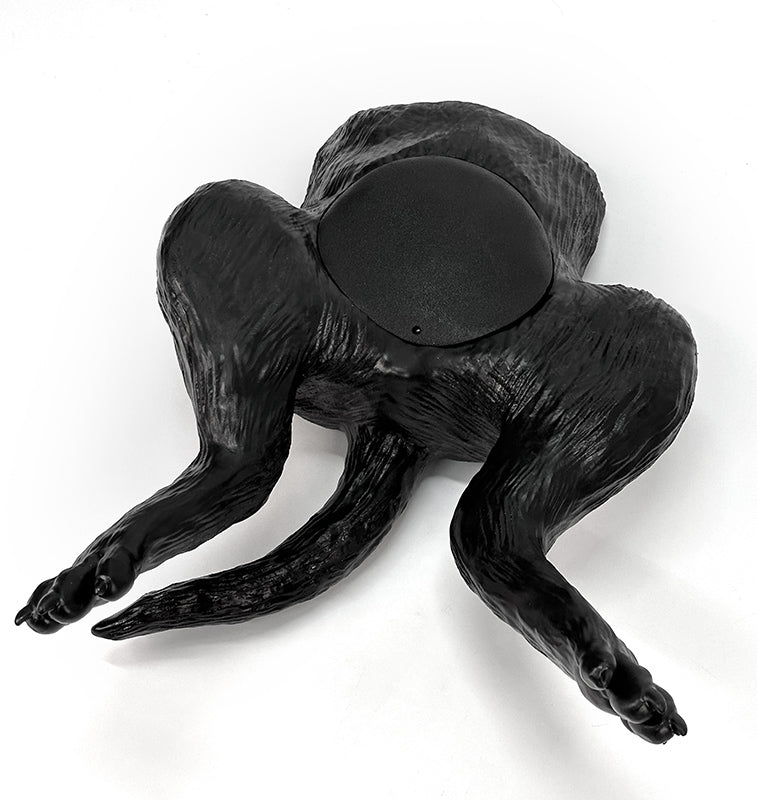 Canine Bladder Ultrasound simulator