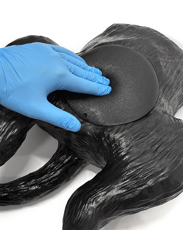Canine Bladder Ultrasound simulator