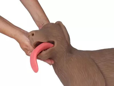 Canine CPR Manikin "CooPeR"