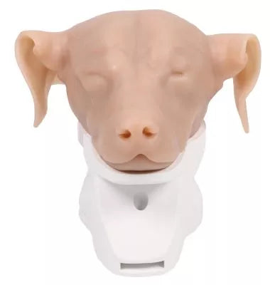 K9 Otoscopy Simulator