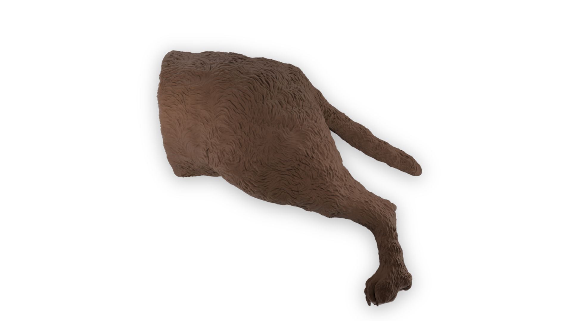 “Rex” Male Dog Catheterization Simulator - Erler-Zimmer VET4695, view 2
