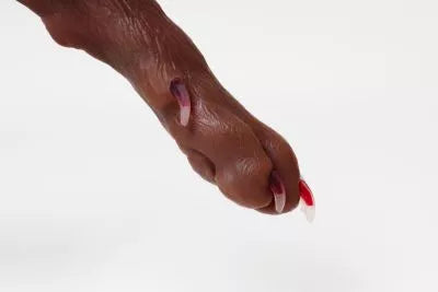 Canine claw trimming paw