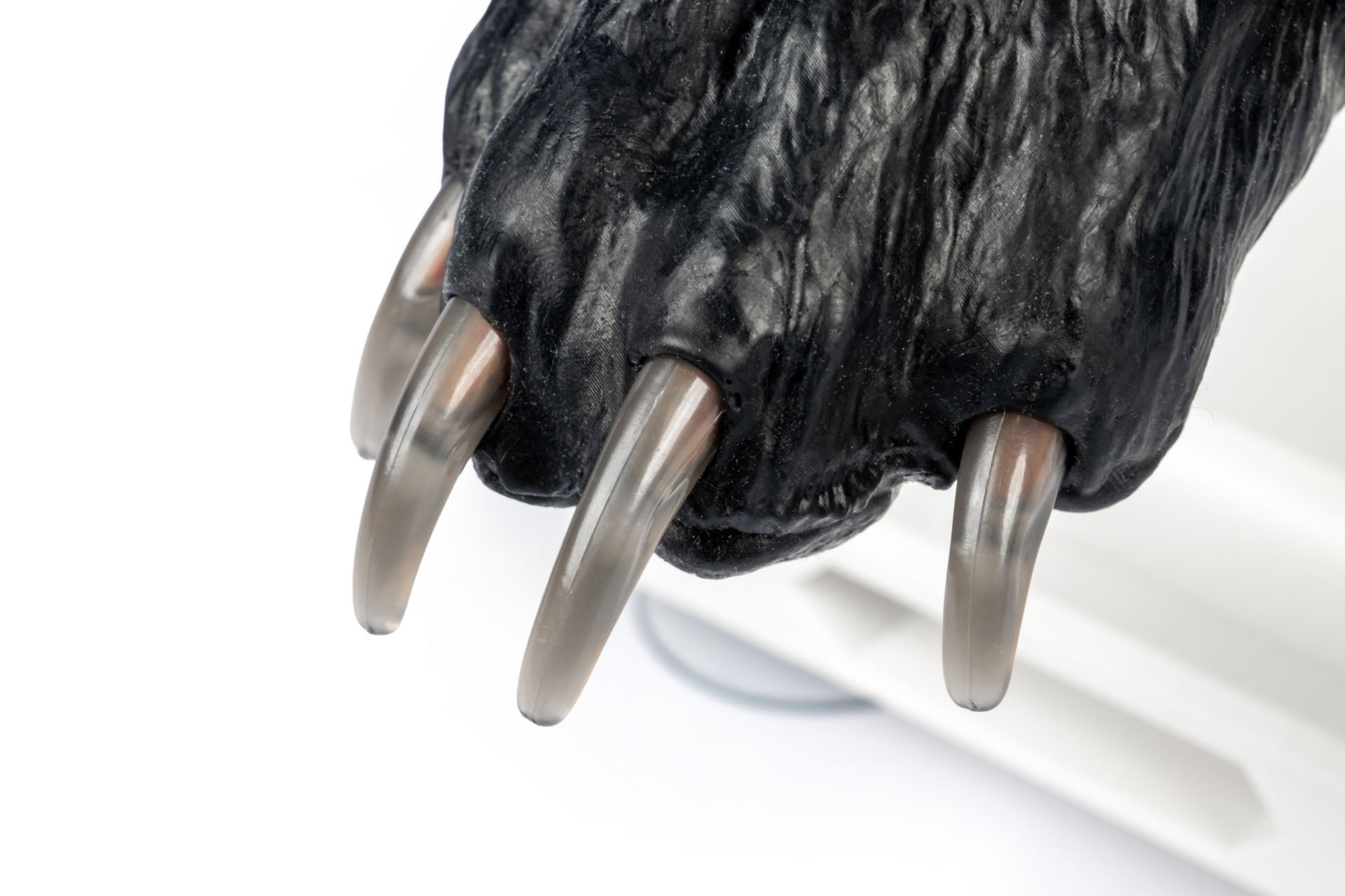 Canine Claw Trimming Paw