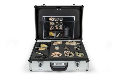 Canine Echocardiography Kit