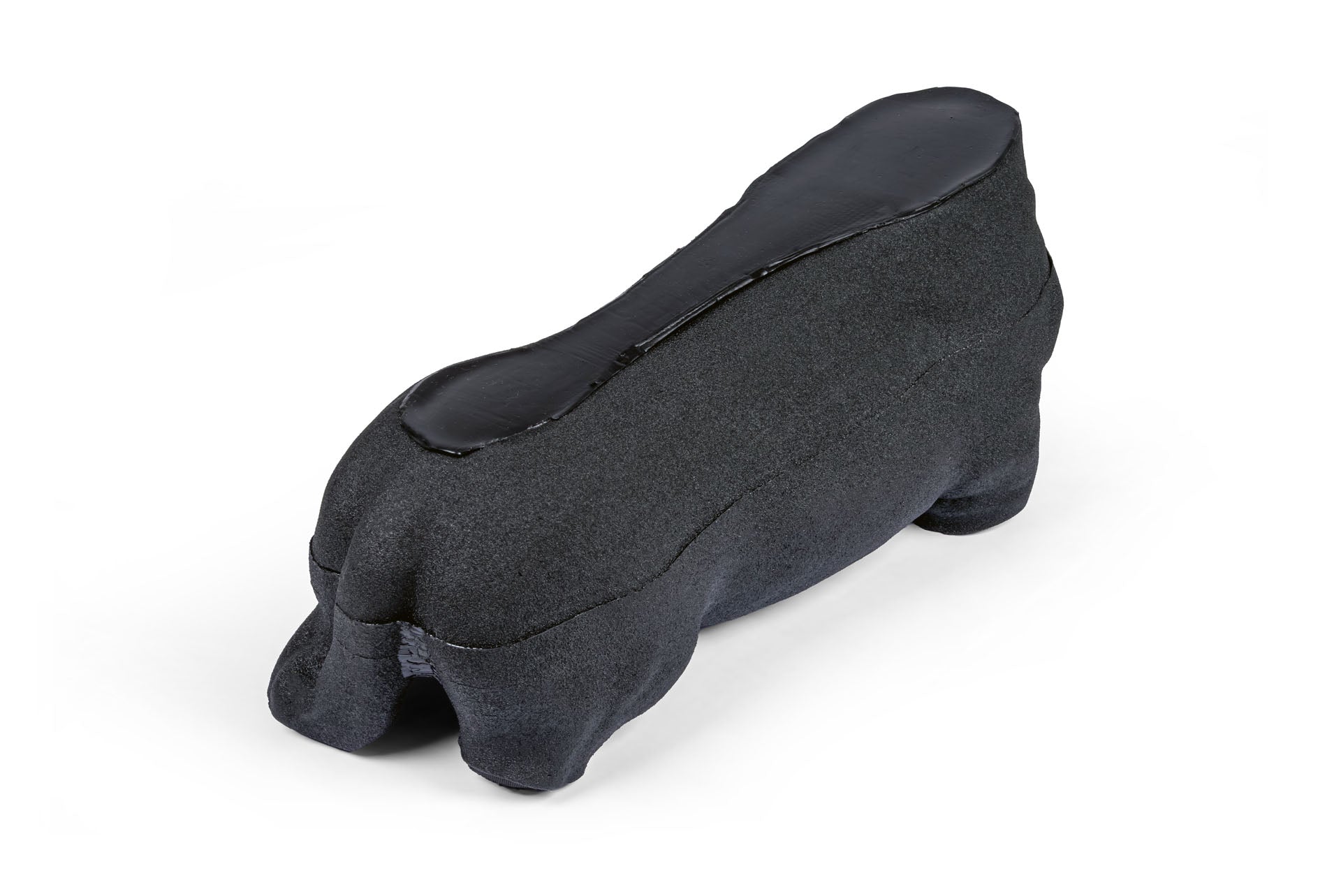 'Lillie' Canine Ultrasound Phantom Training Kit