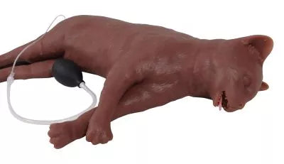 Feline CPR Manikin "CaPpeR"