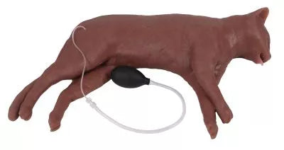 Feline CPR Manikin "CaPpeR"