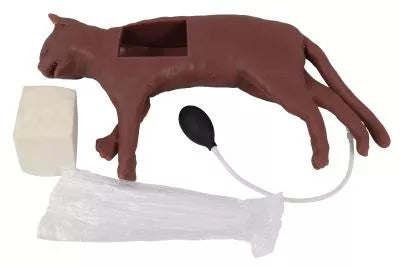 Feline CPR Manikin "CaPpeR"