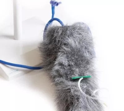 IV. Injection Leg Canine