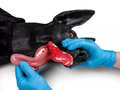 Military Working Dog Simulator - K9-Marshal