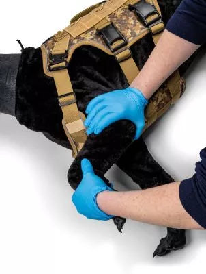 Military Working Dog Simulator - K9-Marshal