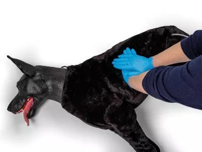 Military Working Dog Simulator - K9-Marshal