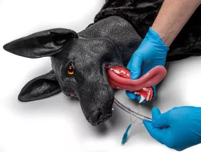 Military Working Dog Simulator - K9-Marshal