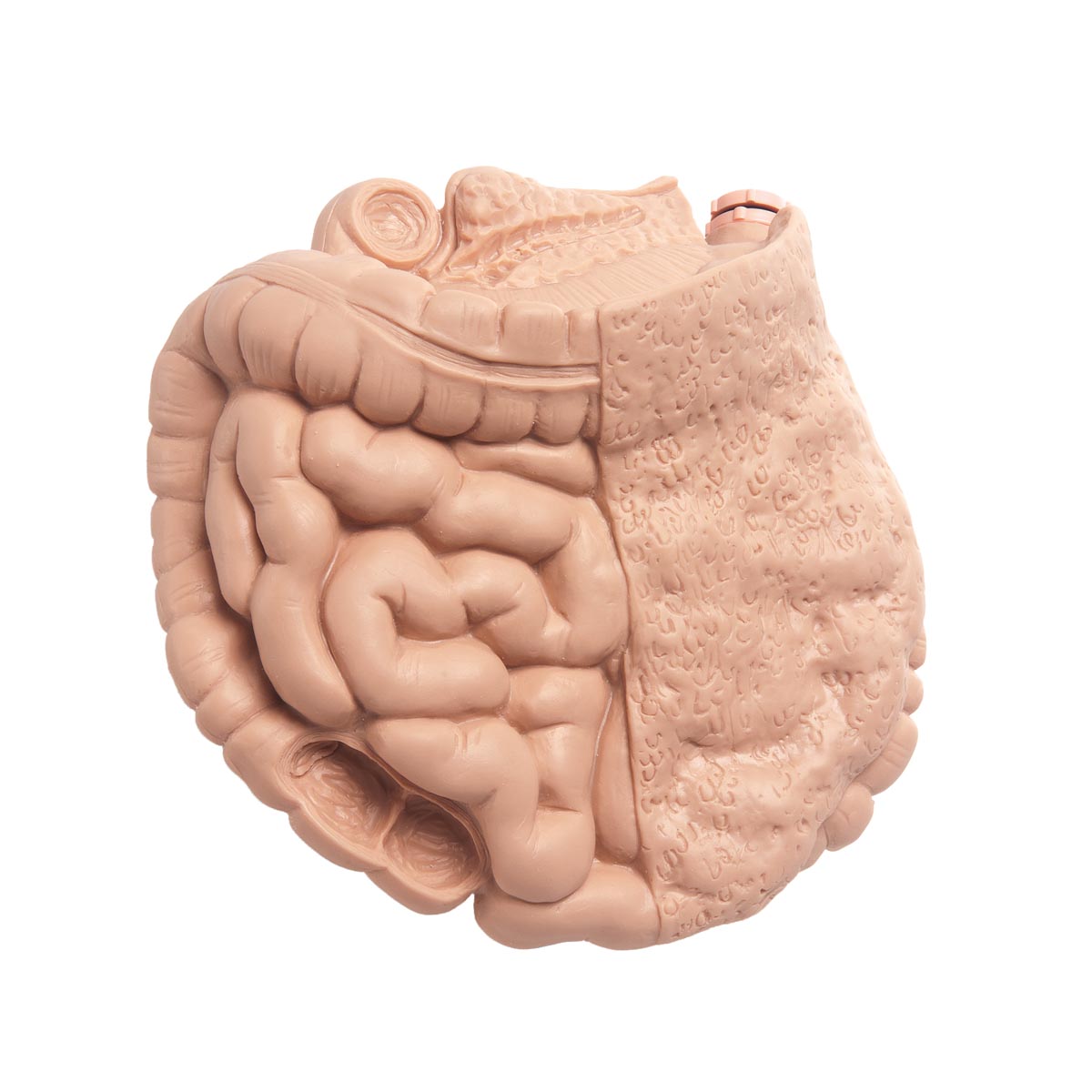 Replacement section of intestine for patient care training manikin