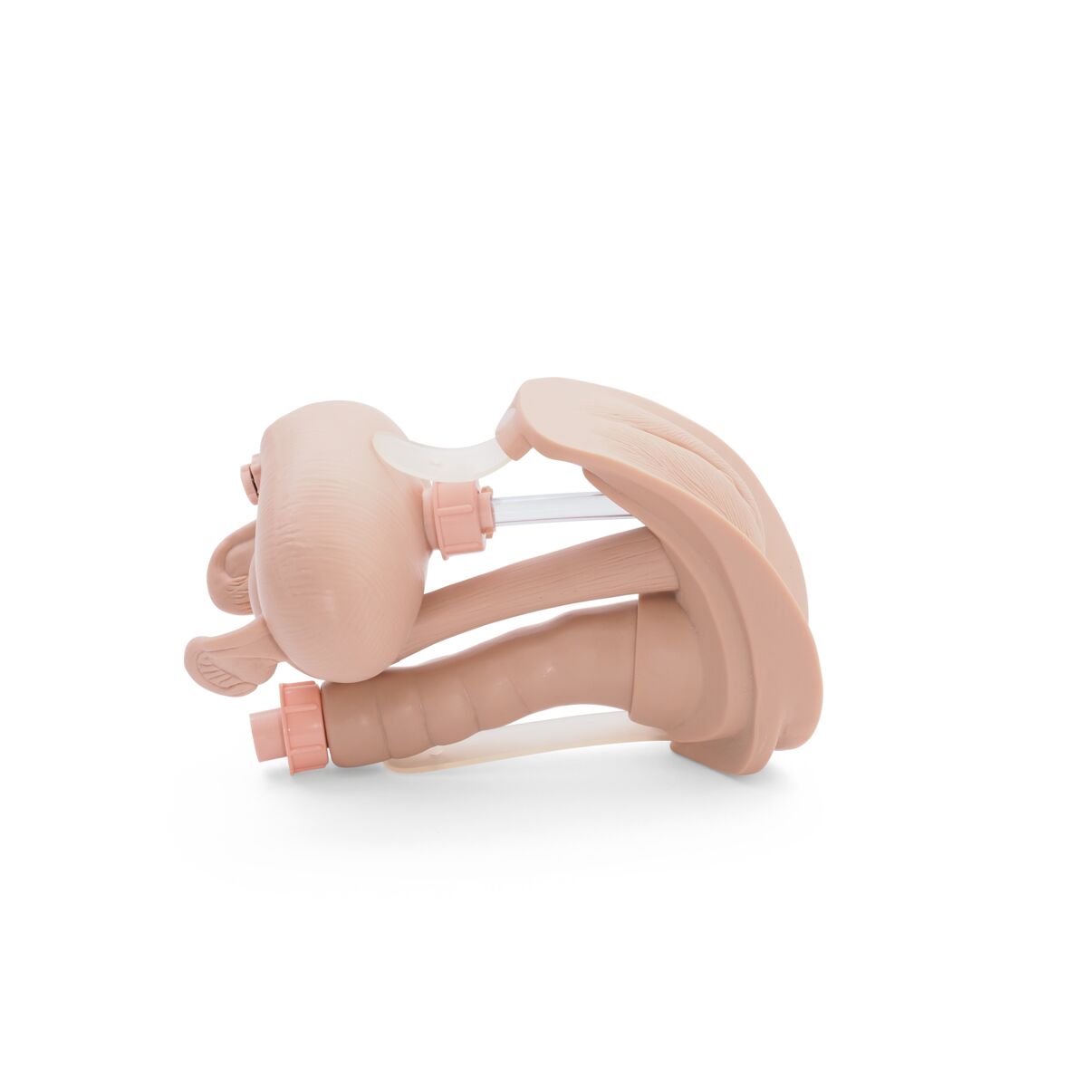 Spare female genital insert for Patient Care Manikin P10