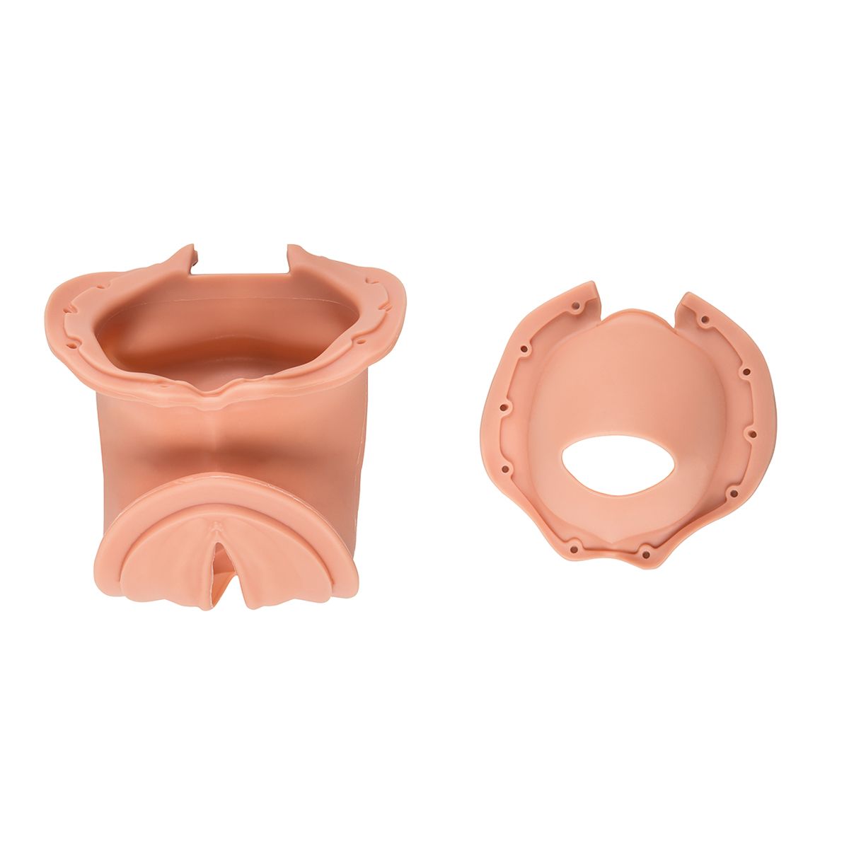 Birth canal and cervix (1x birth canal / 1x cervix)