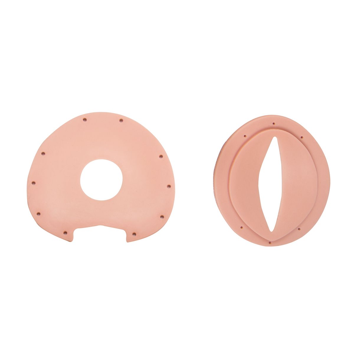 Cervix / vulva