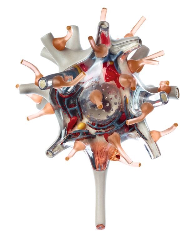 Neuron Model, 3 parts