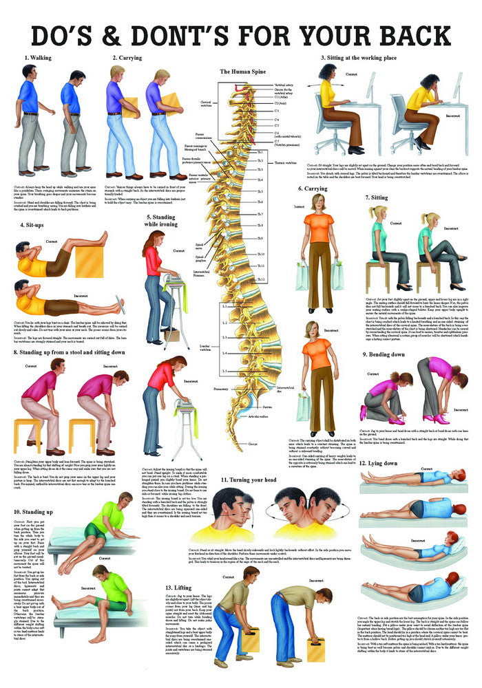 Do's and Don'ts for your Back chart