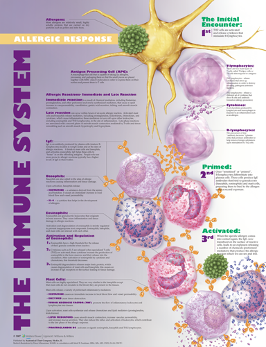 immune-system9730__19380.1589753259.1280.1280.png