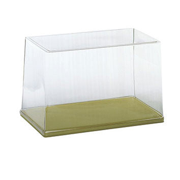 Transparent Dustproof Cover with green base Somso Qs 8