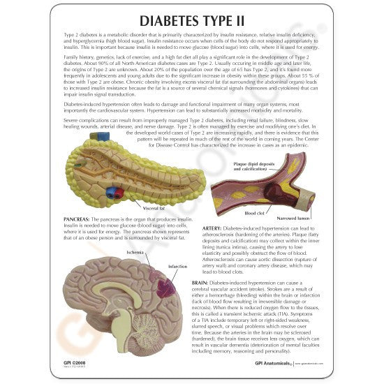 Type II Diabetes Set