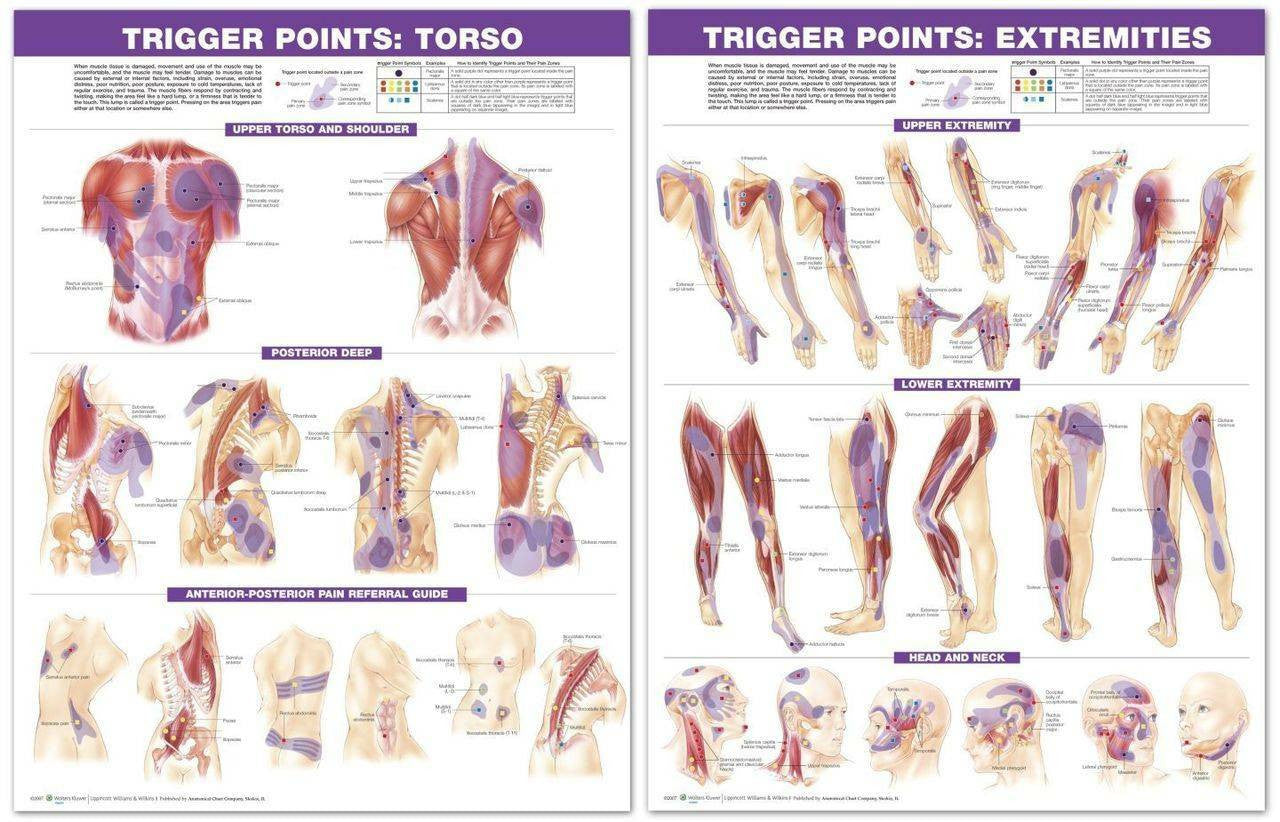 Trigger Point Charts, set of two